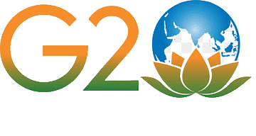 G20