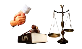 How a Bill Becomes Law